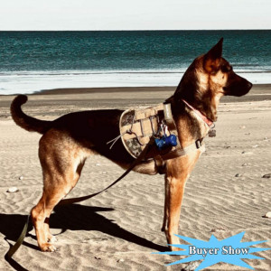 Set de 2 lese pentru caine MayPaw, nailon, rosu/negru, 6 m - Img 2