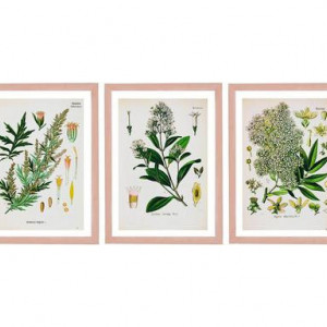 Set de 3 tablouri Light Flowers