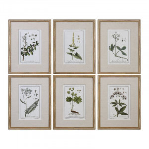Tablou 'Floral Botanical Study', 6 piese, 22,63cm H x 17,63cm W x 2cm D - Img 1