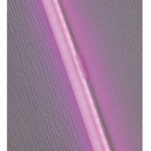 Banda LED Flow VI, silicon, 500 cm - Img 2