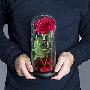 Cupola cu trandafir ZACENYU, LED, sticla/plastic, rosu - Img 2