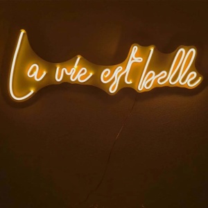 Decor de perete Re-Bloom, La Vie Est Belle, LED, PVC, portocaliu, 62 x 2 x 22 cm - Img 2
