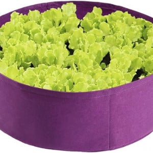 Ghiveci pentru cultivarea legumelor MOOVGTP, violet, 10 x 10 x 5cm