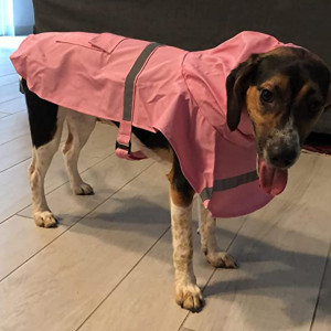 Haina de ploaie pentru caini Komate, tesatura impermeabila, reflectorizant, roz, XL - Img 3