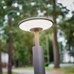 Lampa pentru gradina Fenia, LED, aluminiu/plastic, antracit, 100 cm - Img 5