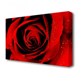 Tablou cu trandafir, 66,04 x 101,6 x 4,4 cm