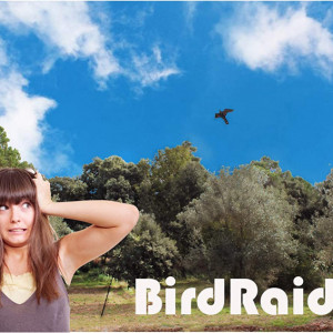 Zmeu pentru alungarea pasarilor BirdRaider, nailon, negru, 120 x 66 cm - Img 5