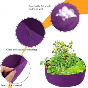 Ghiveci pentru cultivarea legumelor MOOVGTP, violet, 10 x 10 x 5cm