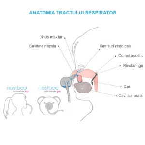 Nosiboo Pro aspirator nazal electric pentru bebelusi, cap Colibri BPA-free, putere reglabila 0.04-0.12 bar, 55-62 dB, aprobat medical ORL, albastru - Verificat A · Re-Bloom - Img 2