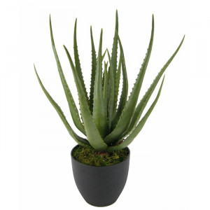 Planta artificiala Aloe Vera, verde/negru, 56 x 20 x 20 cm