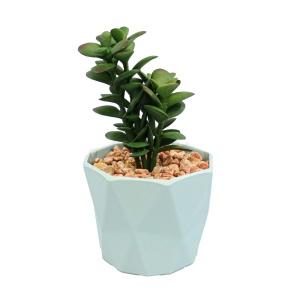 Planta Suculenta In Ghiveci, Gri, Plastic, 16Cm