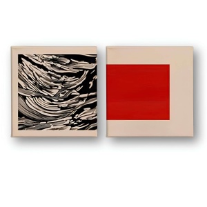 Set 2 tablouri decorative canvas, 2x50x50 cm, panza/lemn, multicolor - Verificat A · Re-Bloom