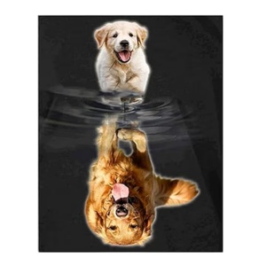 Set de pictura cu diamante Zonyee, caine, multicolor, 30 X 40 cm