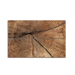 Tablou 'Cross section of Tree Trunk Rings', 4 piese, panza, maro, 80 x 120 x 2 cm