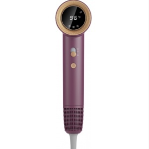 Uscator de par Heinner HHD-H17DBLDC-PP, Putere 1700 W, Display digital, 3 trepte putere, 4 setari de temperatura, Tehnologie Heat Balance, Mov