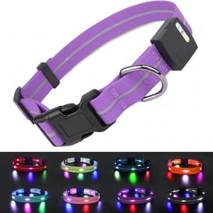 Zgarda de câine cu LED , violet, L