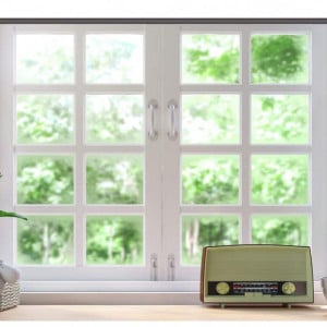 Fundal pentru video-conferinta LYWYGG, vinil, alb/verde, 240 x 180 cm - Img 1