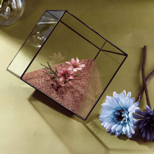 Ghiveci decorativ pentru plante Asvert, sticla, transparent, 15 x 15 x 15 cm - Img 3
