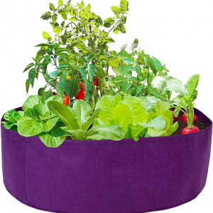 Ghiveci pentru cultivarea legumelor MOOVGTP, violet, 10 x 10 x 5cm