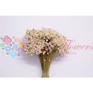 Glixia Marcela Natur