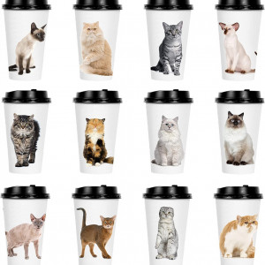 Set de 72 pahare de unica folosinta cu pisici Youngever, hartie/plastic, multicolor, 14, 5 x 8, 6 cm - Img 1