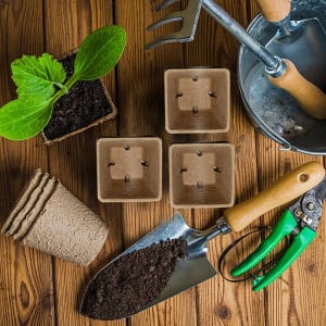 Set de 80 ghivece pentru plantat MSYU, turba, maro, 6 x 6 x 3 cm - Img 6