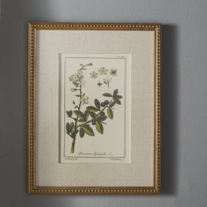 Tablou 'Floral Botanical Study', 6 piese, 22,63cm H x 17,63cm W x 2cm D - Img 5