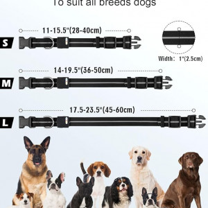 Zgarda de câine cu LED, Joytale, negru, L, 45-60 cm