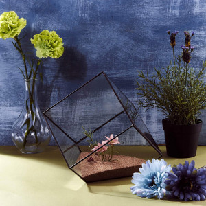 Ghiveci decorativ pentru plante Asvert, sticla, transparent, 15 x 15 x 15 cm - Img 4