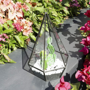 Ghiveci pentru plante Asvert, metal/sticla, transparent/negru, 19,5 x 5,5 x 7 cm - Img 4
