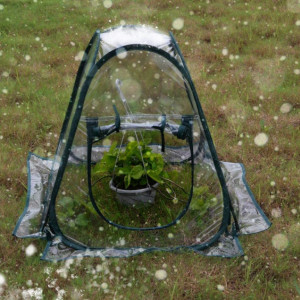Mini sera pliabila Kakeah, PVC, transparent/verde, 71 x 71 x 78 cm - Img 6