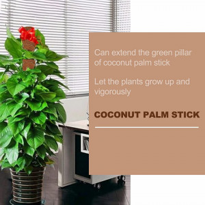 Set de 2 suporturi pentru plante SODIAL, lemn/fibra de cocos, maro, 40 cm - Img 3