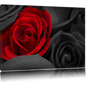 Tablou cu trandafiri, panza, 60 x 80 x 1,8 cm - Img 1