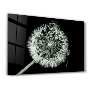Tablou decorativ Re-Bloom, model papadie, sticla securizata, negru/alb, 46 x 72 cm