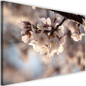 Tablou 'Flowering Cherry', crem, 40 x 60 cm - Img 1
