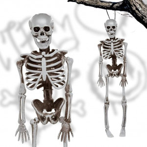 Decoratiune schelet de Halloween, Dlishka, plastic, 40cm