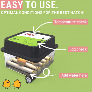 Incubator de 12 oua cu intoarcere automata afisaj al umiditatii si control temperatura Okköbi,  plastic, negru/transparent, 19,5 x  24,3 x 26,4 cm 