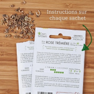 Set 2 plicuri cu seminte de Zinnia-Carciumarese OwnGrown, rosu/portocaliu, 120 bucati