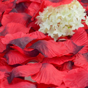 Set de 4000 petale de trandafir Baotongle, matase/poliester, rosu, 4,5 x 4,5 cm - Img 2
