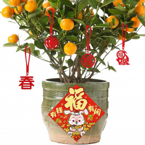 Set de 47 decoratiuni pentru Anul Nou Chinezesc INFLATION, rosu, hartie - Img 4