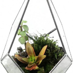 Suport decorativ pentru plante Asvert, sticla/metal, negru/transparent, 12 x 12 x 17 cm - Img 2