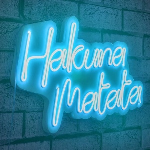 Wallity decor de perete neon LED, plastic/spuma PVC, 47x29x2 cm, 12V CC, adaptor inclus, cablu 375 cm, 19.656W, IP67, alb/albastru - Verificat A · Re-Bloom - Img 2