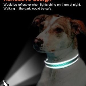 Zgarda reflectorizanta pentru caine Joytale, nailon, verde/negru, marimea M