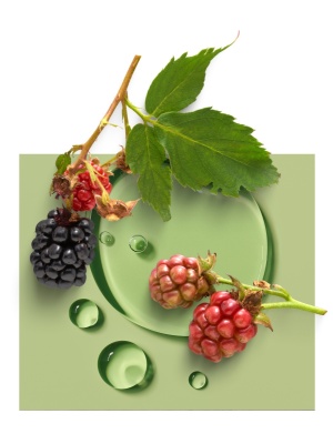 Forest Fruits Complex - Img 2