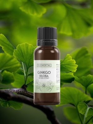 Gingko biloba kivonat - Img 2