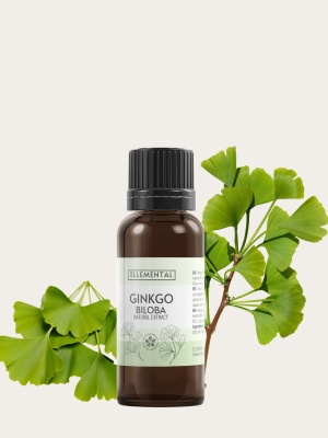 Gingko biloba kivonat