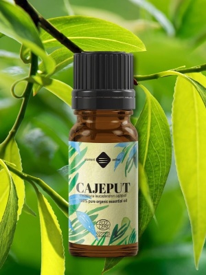 Kajeput illóolaj Bio - Img 2