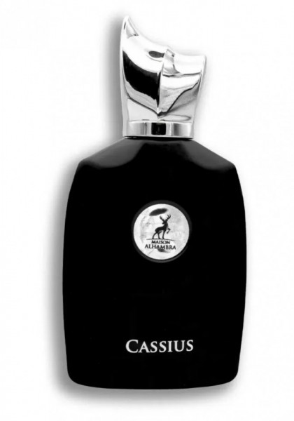 Cassius 100 ml