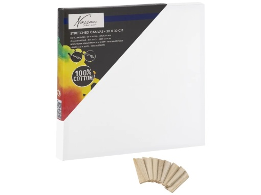 CANVAS 30*30