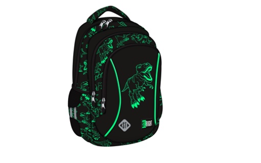 Rucsac ergonomic Reflective T-REX 4 fermoare